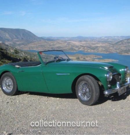 Austin Healey 
