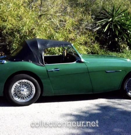 Austin Healey 